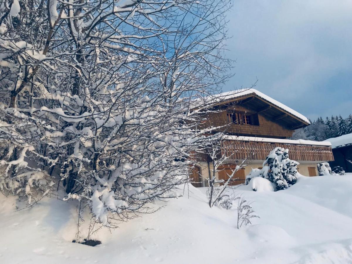 Chalet Les Marmottes Saint-Jean-de-Sixt Exterior foto